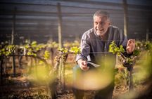 Blogging in Maipu with Zuccardi Q Tasting and Lunch Pairing