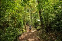 Santa Elena Cloud Forest Reserve Guided Tour