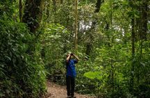 Santa Elena Cloud Forest Reserve Guided Tour
