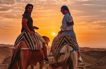 Quad and Camel Ride with Dinner Show in Agafay Desert