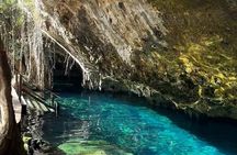 Turtle Akumal Adventure! Tulum Ruins and Cenote from Riviera Maya