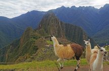 Machupicchu Full Day Tour with Vistadome Panoramic Train