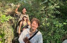 Trail to the Waterfall: A Journey to the Essence of Nature