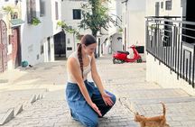 Luxury Full-Day Private Tour of Tangier