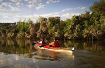 Kayaking Adventure in the Paraná River Delta