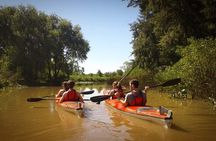 Kayaking Adventure in the Paraná River Delta
