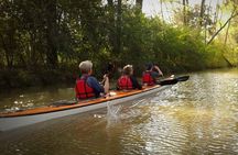 Kayaking Adventure in the Paraná River Delta