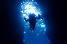 【Okinawa】 Blue Cave Guided Dive No License Needed