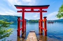 Hakone hot spring day trip from Tokyo with private driver