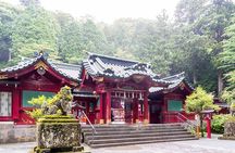 Hakone hot spring day trip from Tokyo with private driver