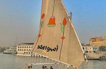 Private Tour in Aswan : Felucca and Nubian village