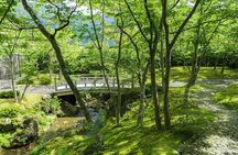 Hakone hot spring day trip from Tokyo with private driver