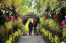 1-Day Kochi Highlights Tour with local guide