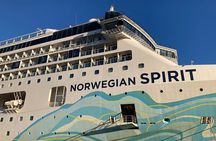 1-Day Kochi Highlights Tour with local guide