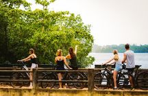 The Paddy and Lake Trail