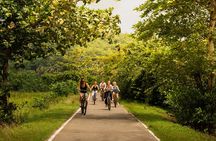 The Paddy and Lake Trail