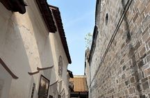 All-Inclusive Private Panda & Hidden Ancient Town Tour