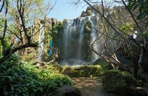 Land of Angels Waterfall Park &Sticky Waterfall,Thai lunch Buffet