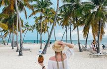 Samana Day Trip from Puntacana and El limon Waterfall