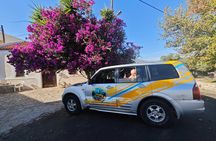 Private Off-Road Jeep Safari to Preveli Beach, Arkadi & Gorges