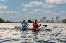  Condado Lagoon: Nature Kayak Tour