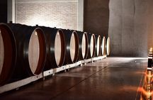 Winery in Valle de Uco with Premium Tastings and Gourmet Lunch