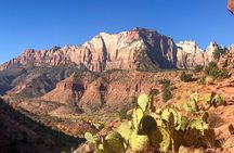 Half Day Guided Hike in Zion National Park