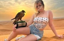 Desert Safari with ATV Bike Adventure BBQ and Live Show