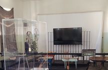 Half Day Robben lsland Ticket 