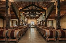 Signature Wine Tour Napier 4 Wineries Cheese and Luxury Vehicle