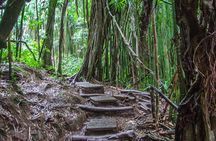 Hilo Finest Waterfalls and Town Tour 