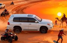 Doha Premium Half Day Desert Safari Camel Ride and Inland Sea