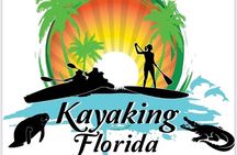 Blue Springs 4 Hour manatee Kayak Tour