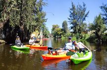 Frida Kahlo New Museum Casa Kahlo, Coyoacán and Xochimilco Canals