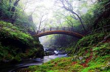 Day Trip From Mount Aso to Miyazaki with Boat Ride