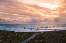 Rottnest Island Seals Sunset and West End Bus Tour