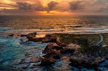Rottnest Island Seals Sunset and West End Bus Tour
