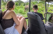 Yala National Park Safari Tours 