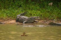 Yala National Park Safari Tours 