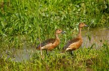 Yala Block 5 & 6 ( Lunugamwehera & Weheragala ) Safari Tours