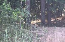 Gaborone Wild Encounters Experience