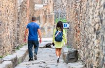 Naples or Salerno Port Pompeii and Herculaneum Tour