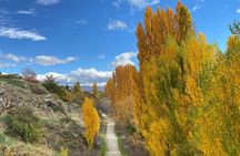 Highlights of the Otago Rail Trail: all-inclusive eBike Tour