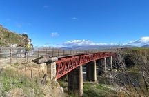 Highlights of the Otago Rail Trail: all-inclusive eBike Tour
