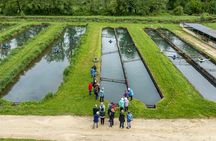 Sarlat : Caviar Farm Tour with Tastings and Pickup by Exploreo24