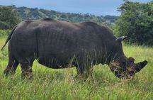 2 Day Akagera Camping Safari