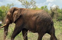 2 Day Akagera Camping Safari