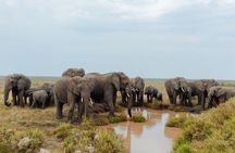 Private Safari to Serengeti Ngorongoro and Tarangire