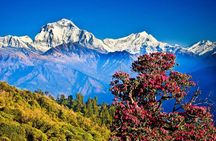 Nagarkot Sunrise Tour with Himalayan Views from Kathmandu