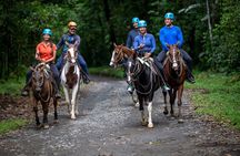 Arenal Horseback Riding to La Fortuna Waterfall 